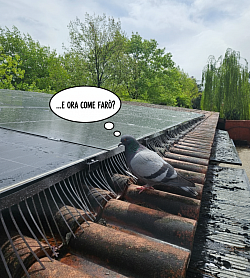 Sistemi anti piccioni per Fotovoltaico